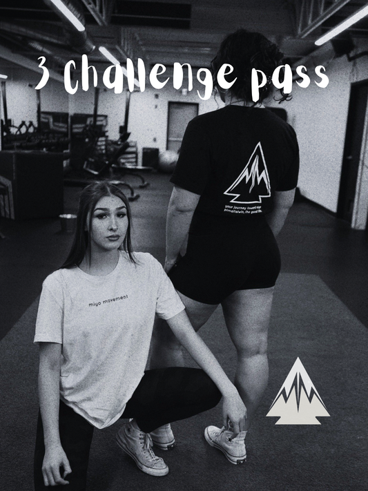 3 Challenge Pass